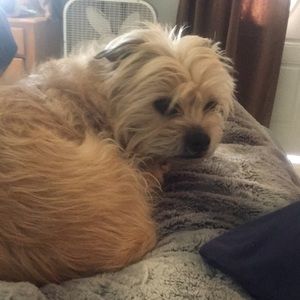 Meet your Posher, Claire